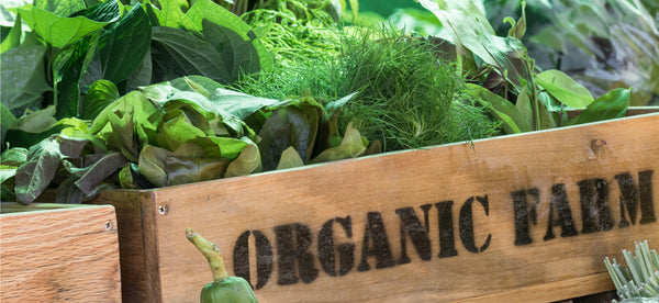 THE BENEFITS OF SWITCHING TO ORGANIC FOOD