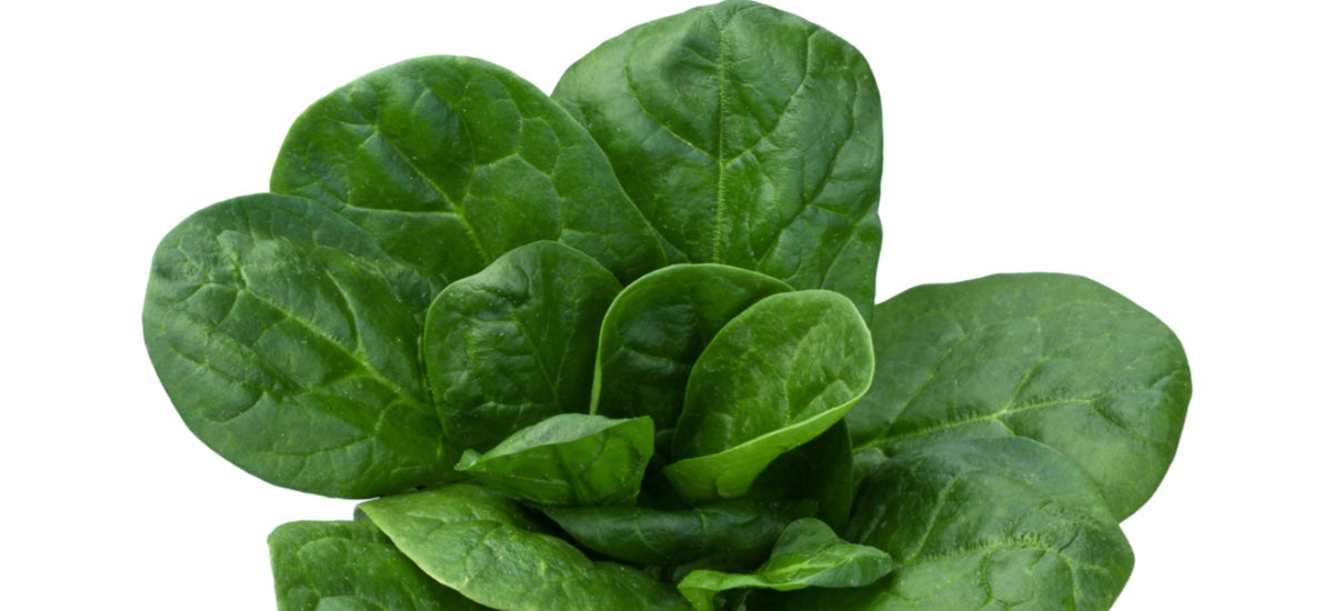 10 HEALTH & WELLNESS BENEFITS OF SPINACH