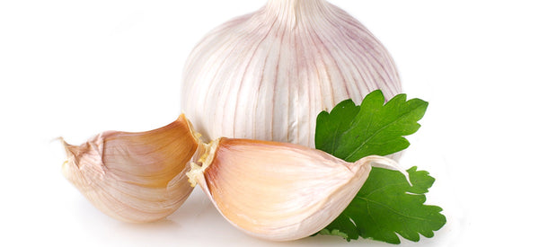 10 HEALTH & WELLNESS BENEFITS OF GARLIC