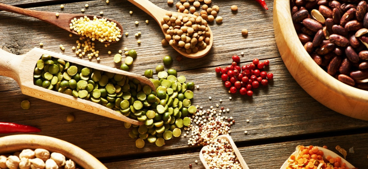 6 TYPES OF LEGUMES: HOW TO BENEFIT FROM THESE PLANT-BASED POWERHOUSES