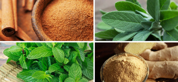 6 HEALING HERBS AND SPICES & THEIR HEALTH BENEFITS