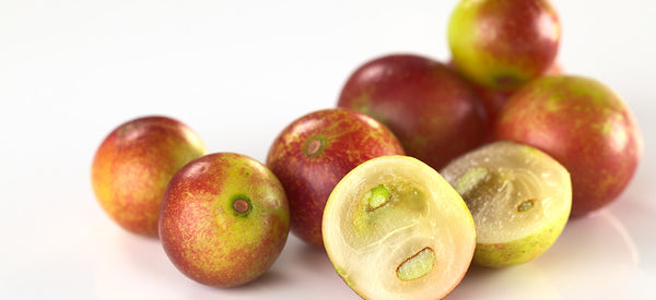 THE HEALTH AND WELLNESS BENEFITS OF CAMU CAMU