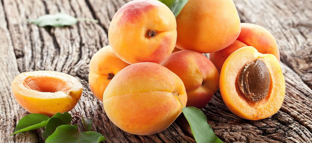 APRICOTS: ANTIOXIDANT BENEFITS FOR VIBRANT SKIN + HEALTH