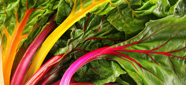 4 DARK LEAFY GREENS FOR HEALTH AND BEAUTY
