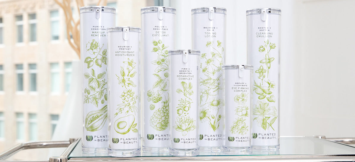 THE IMPORTANCE OF ORGANIC SKINCARE