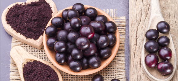 10 HEALTH & WELLNESS BENEFITS OF ACAI