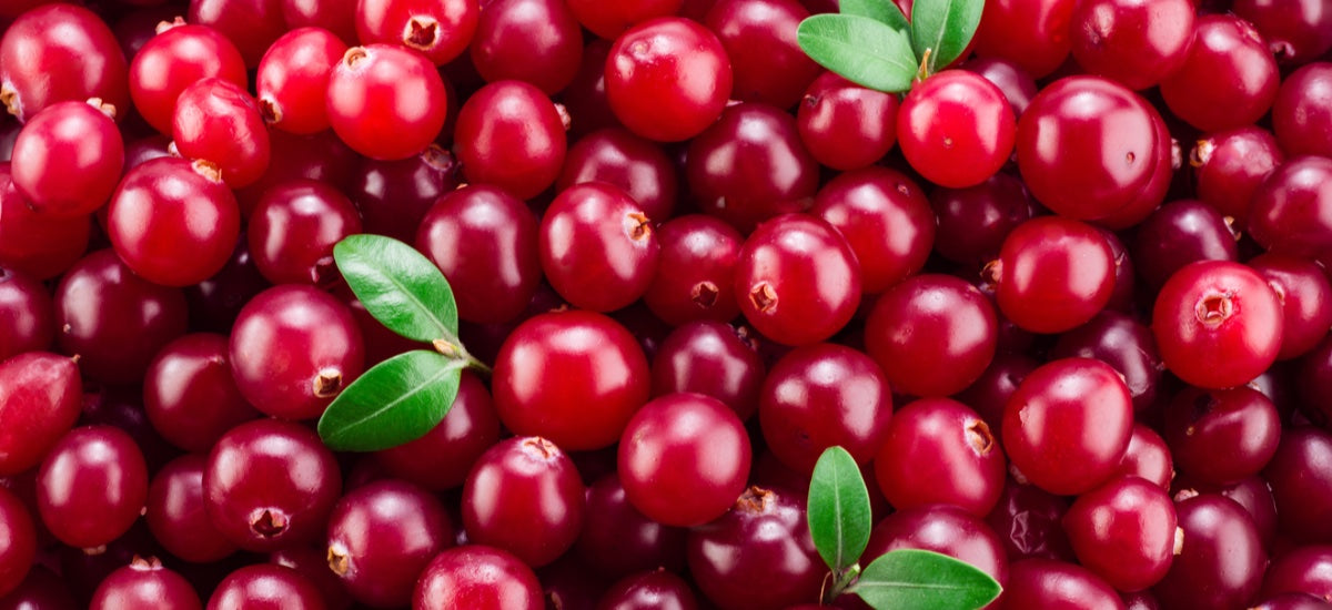 10 HEALTH AND WELLNESS BENEFITS OF CRANBERRIES