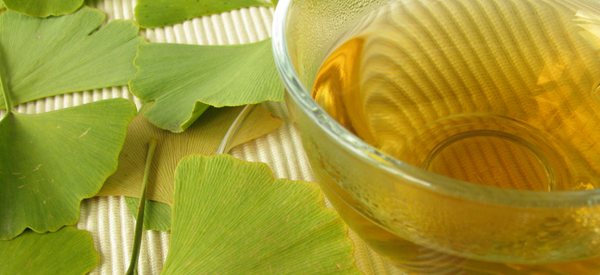 10 HEALTH & WELLNESS BENEFITS OF GINGKO